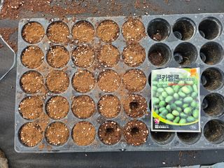 나선기님의 기타작물 · 영농일지 작성글 사진