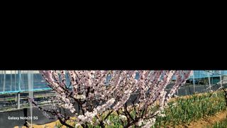 제주농부님의 고추 · 영농일지 작성글 사진