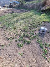 팜모닝 기타작물·영농일지 게시글 이미지