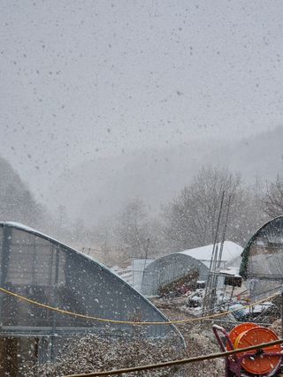 왕자농원님의 기타작물 · 영농일지 작성글 사진