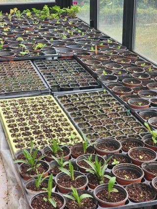 허인녕님의 기타작물 · 영농일지 작성글 사진