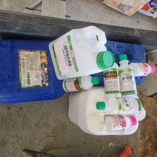 햇사레맨(이용삼)님의 복숭아 · 영농일지 작성글 사진