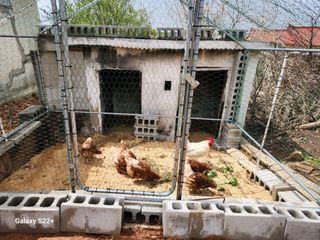 송아지님의 기타작물 · 영농일지 작성글 사진