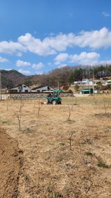 팜모닝 기타작물·영농일지 게시글 이미지