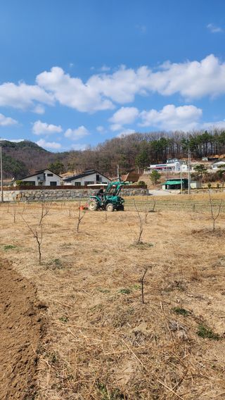 김종순.방재단장님의 기타작물 · 영농일지 작성글 사진