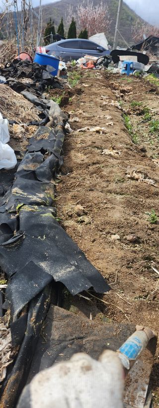 스마일00님의 기타작물 · 영농일지 작성글 사진