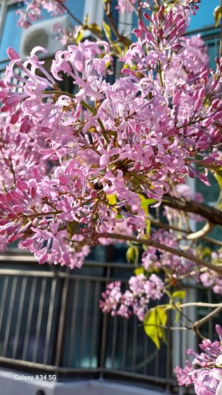 박원용님의 기타작물 · 영농일지 작성글 사진