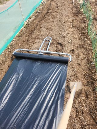 두릅나무님의 기타작물 · 영농일지 작성글 사진