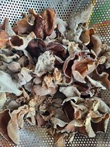 팜모닝 기타작물·영농일지 게시글 이미지