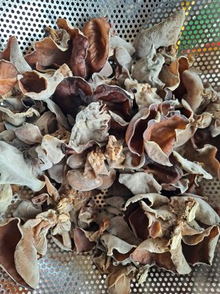 박준환님의 기타작물 · 영농일지 작성글 사진