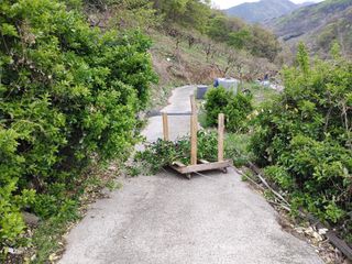 단감당감님의 감 · 영농일지 작성글 사진