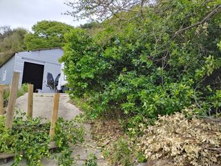 단감당감님의 감 · 영농일지 작성글 사진