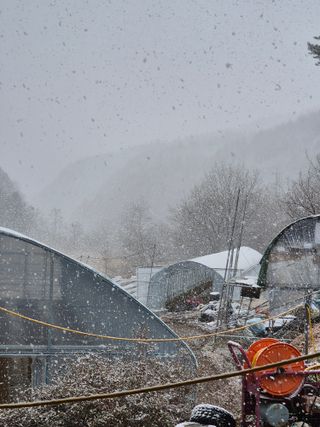 왕자농원님의 기타작물 · 영농일지 작성글 사진