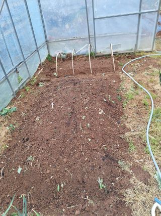 정희군님의 기타작물 · 영농일지 작성글 사진