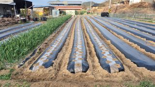 전환엽님의 기타작물 · 영농일지 작성글 사진