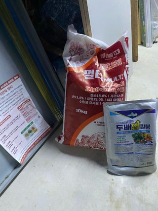 김유찬님의 마늘 · 영농일지 작성글 사진