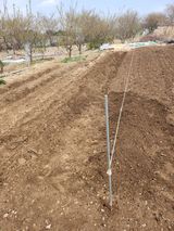 팜모닝 기타작물·영농일지 게시글 이미지