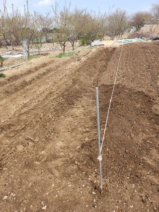 두릅나무님의 기타작물 · 영농일지 작성글 사진