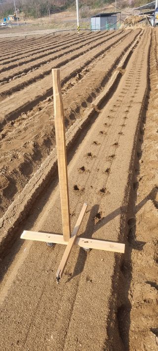 박사원농장님의 기타작물 · 영농일지 작성글 사진