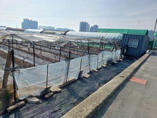 상훈경영체등록5년차님의 기타작물 · 영농일지 작성글 사진