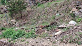 꽃님님의 콩 · 영농일지 작성글 사진