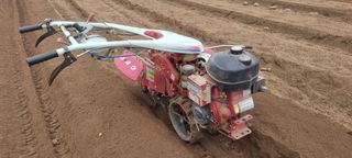 박사원농장님의 기타작물 · 영농일지 작성글 사진