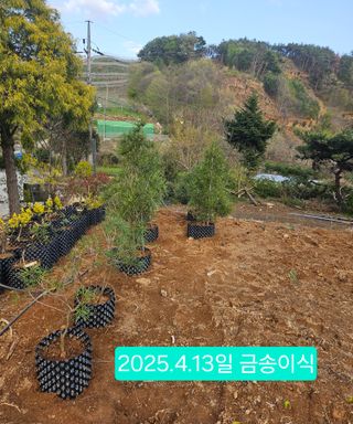 멧돼지님의 기타작물 · 영농일지 작성글 사진