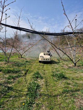 백운농원 님의 기타작물 · 영농일지 작성글 사진