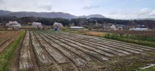 조성현님의 기타작물 · 영농일지 작성글 사진