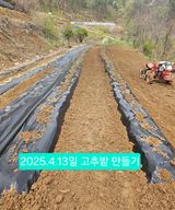 팜모닝 기타작물·영농일지 게시글 이미지