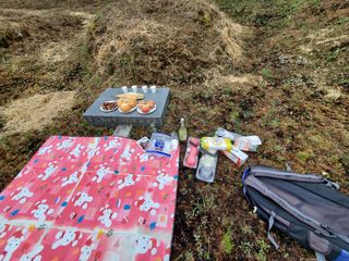 정연섭님의 기타작물 · 영농일지 작성글 사진