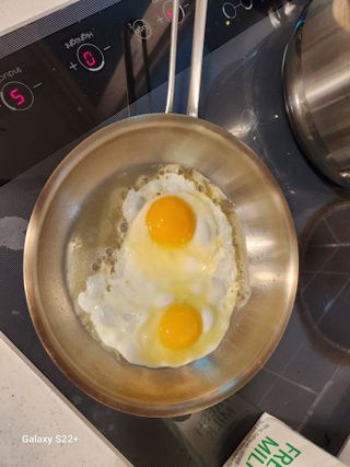 송아지님의 기타작물 · 영농일지 작성글 사진