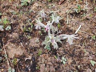 정연섭님의 기타작물 · 영농일지 작성글 사진