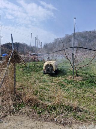 백운농원 님의 기타작물 · 영농일지 작성글 사진