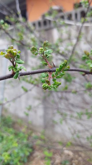 유병욱님의 기타작물 · 영농일지 작성글 사진