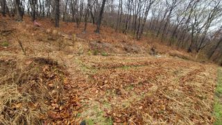 서초농원님의 기타작물 · 영농일지 작성글 사진