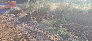 박사원농장님의 기타작물 · 자유게시판 작성글 사진