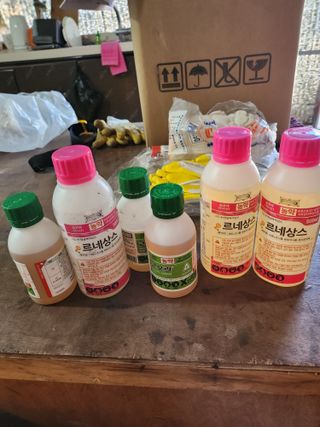 제주온님의 귤 · 영농일지 작성글 사진