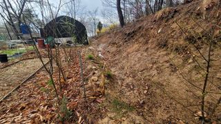 서초농원님의 기타작물 · 영농일지 작성글 사진