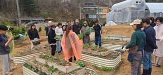 조영숙님의 오이 · 영농일지 작성글 사진