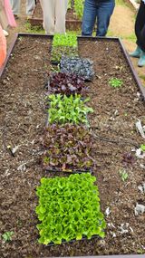 팜모닝 오이·영농일지 게시글 이미지