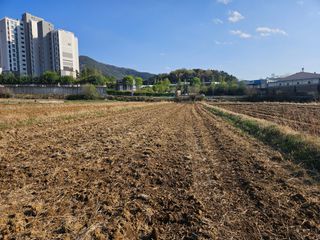우경원님의 벼 · 영농일지 작성글 사진