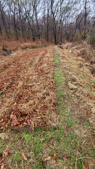 서초농원님의 기타작물 · 영농일지 작성글 사진