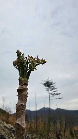 유병욱님의 기타작물 · 영농일지 작성글 사진