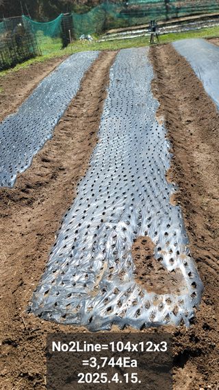 서초농원님의 기타작물 · 영농일지 작성글 사진