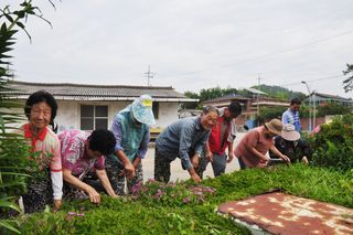 정해원.님의 기타작물 · 영농일지 작성글 사진