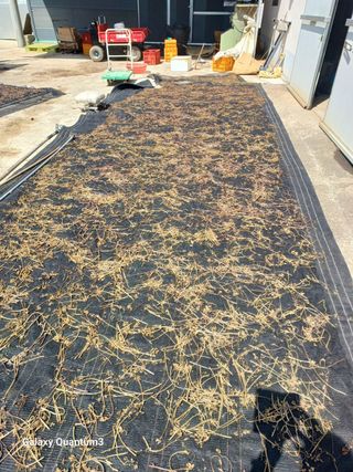 오금식(대청농원)님의 기타작물 · 영농일지 작성글 사진