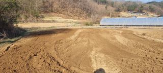 박사원농장님의 기타작물 · 자유게시판 작성글 사진