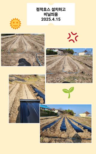 강동신님의 고추 · 영농일지 작성글 사진