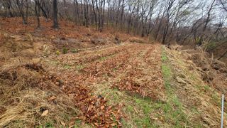 서초농원님의 기타작물 · 영농일지 작성글 사진